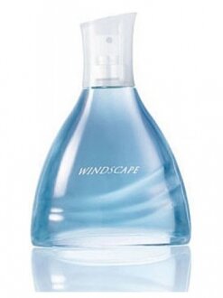 Avon Windscape EDT 75 ml Erkek Parfümü kullananlar yorumlar